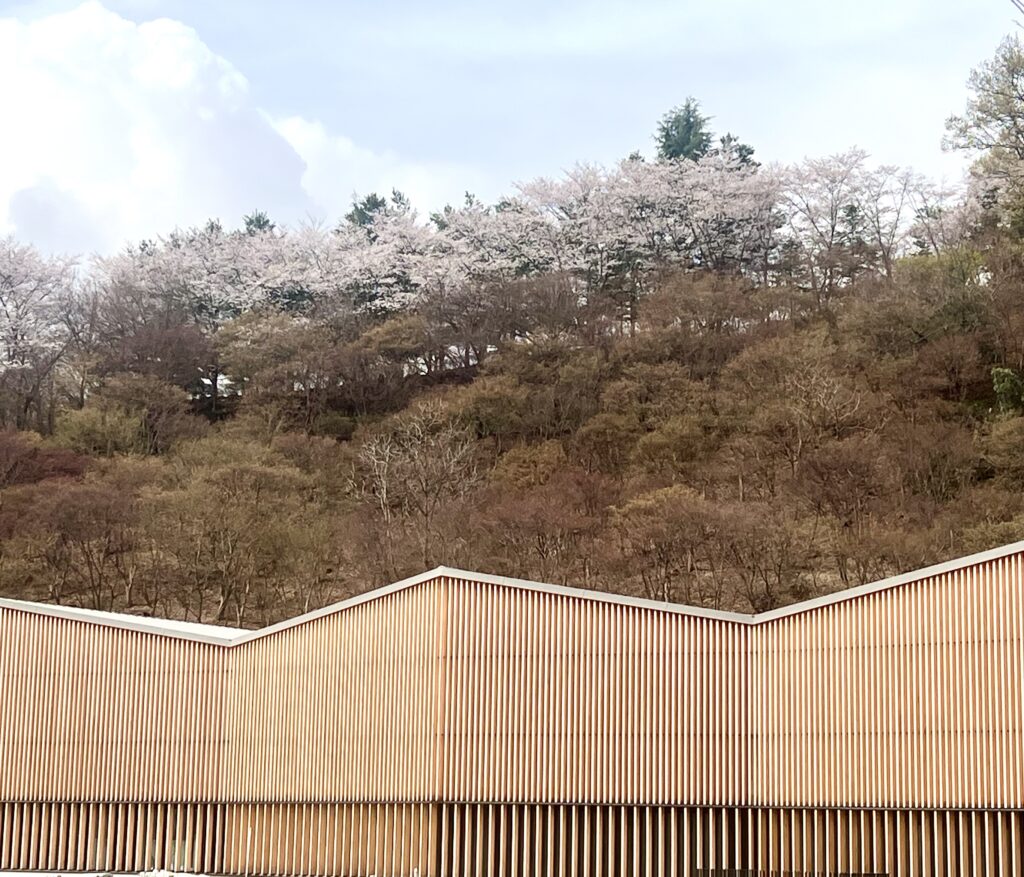 남양성모성지 대성당과 엔드리스 성요셉 예술원 문화사목
